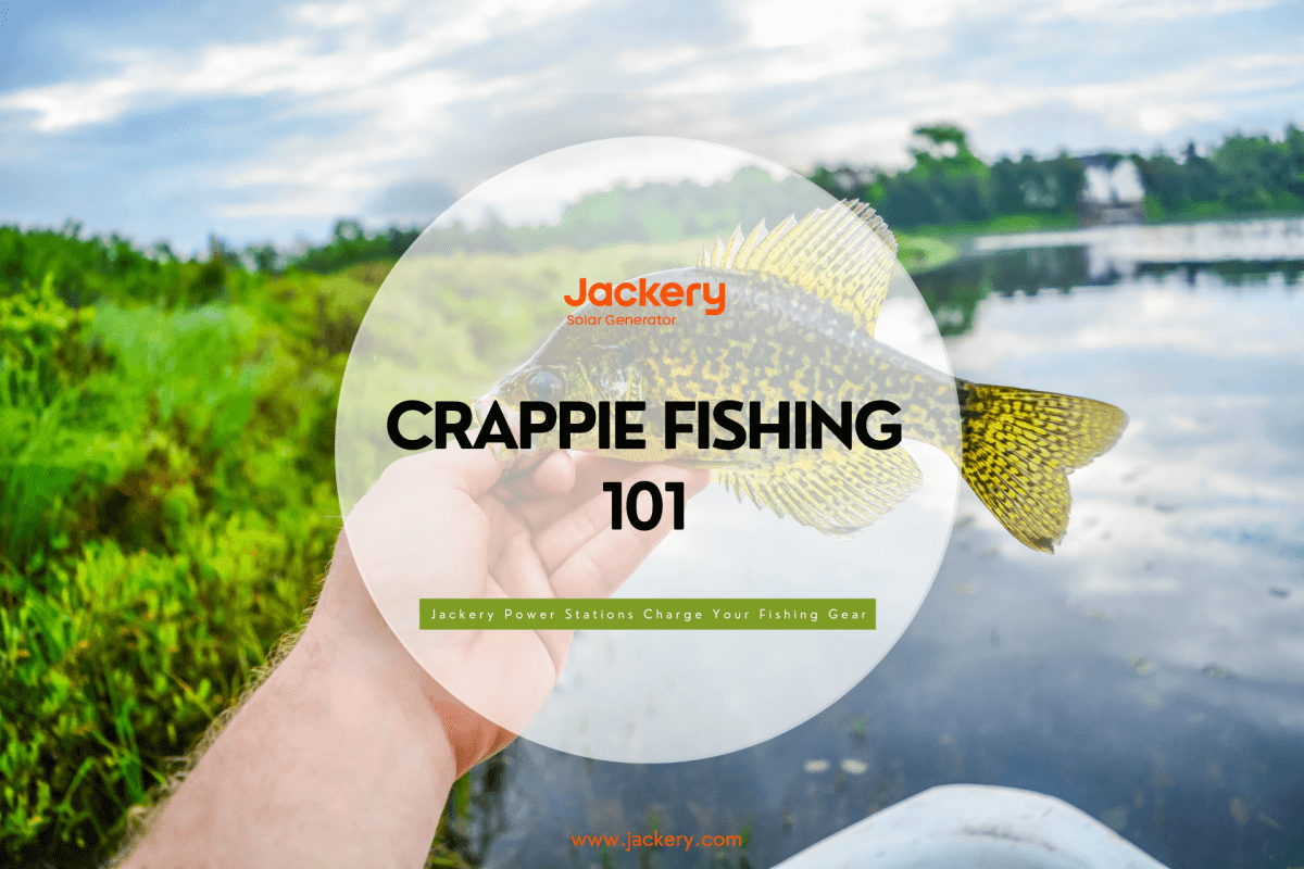 Crappie Fishing 101: How to Catch Crappies - Jackery