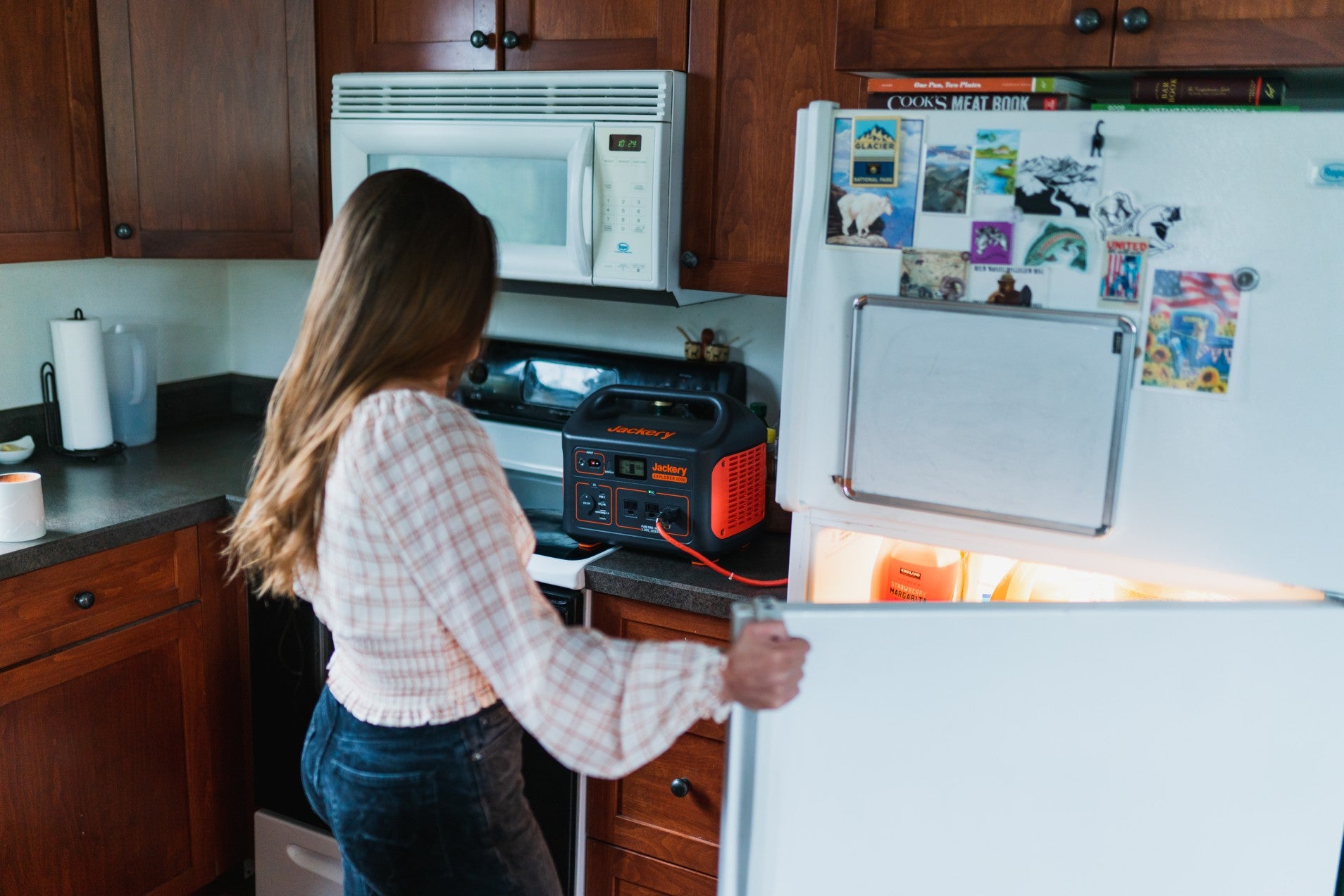 Fridge on sale without power