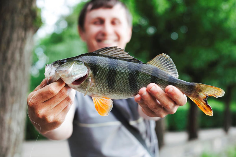 10 Trout Fishing Forums: Fishing Reports & Discussions - Jackery