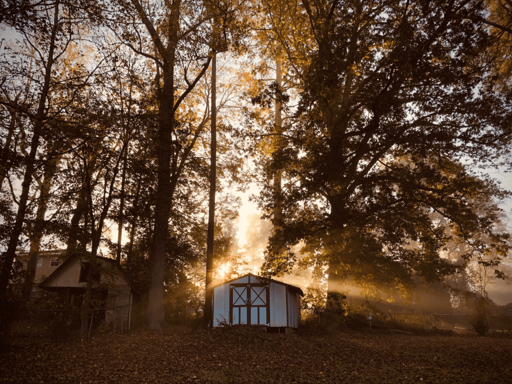 Solar Powered Shed: Can Solar Generator Run Your Shed