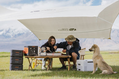 Basketball Theme Party: Ideas, Supplies, and Decorations - Jackery