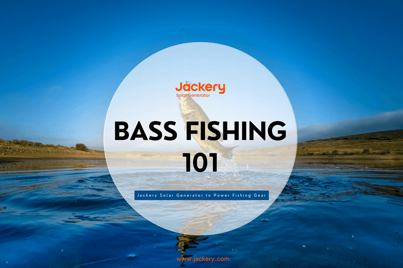 Bass Fishing 101: How to Catch Bass - Jackery