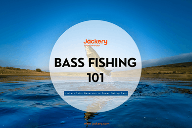 bass fishing 101