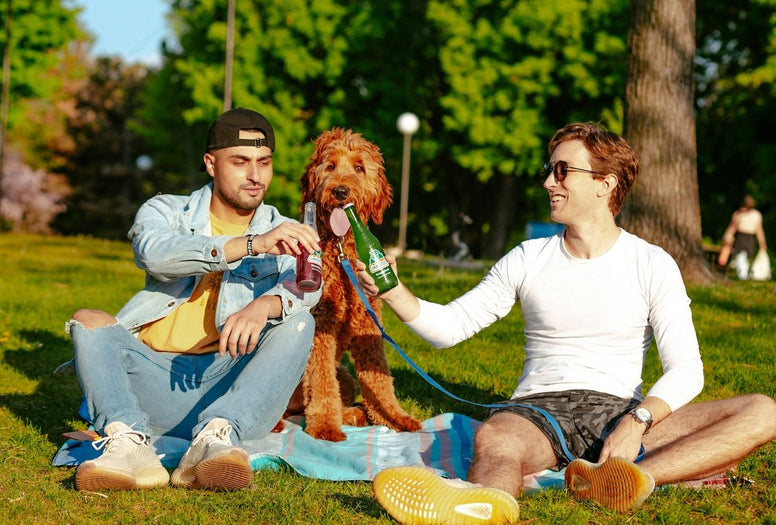 Best 10 Picnic Spots in Dallas [2024 Updated] - Jackery