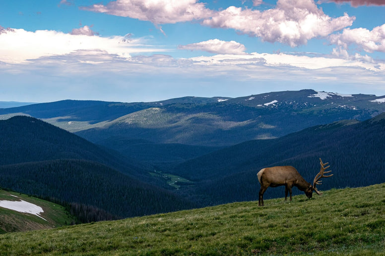 Best Camping in Colorado: Top 10 Places to Go in 2024 - Jackery