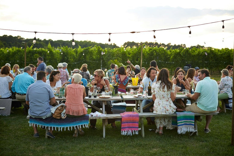 Central Park Picnic Guide: Where to Picnic in Central Park? - Jackery