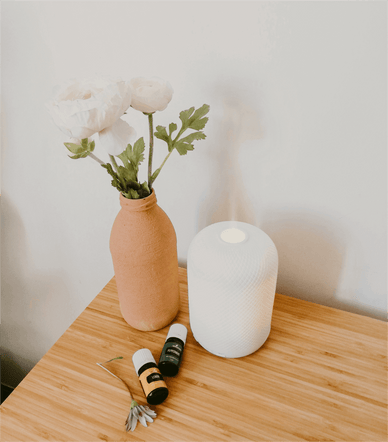 DIY Humidifier Guide: How to Make A DIY Humidifier? - Jackery