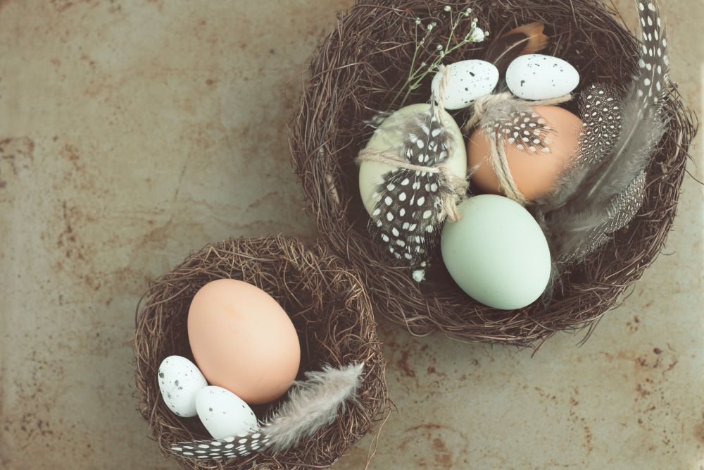 Fun Easter Games for Every Age Group of 2024