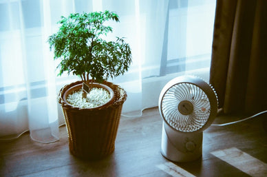 How Much Does It Cost to Run a Dehumidifier: Daily, Monthly, and Yearly Expenses - Jackery