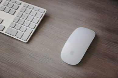How to Charge Apple Mouse [Ultimate Guide 2024] - Jackery