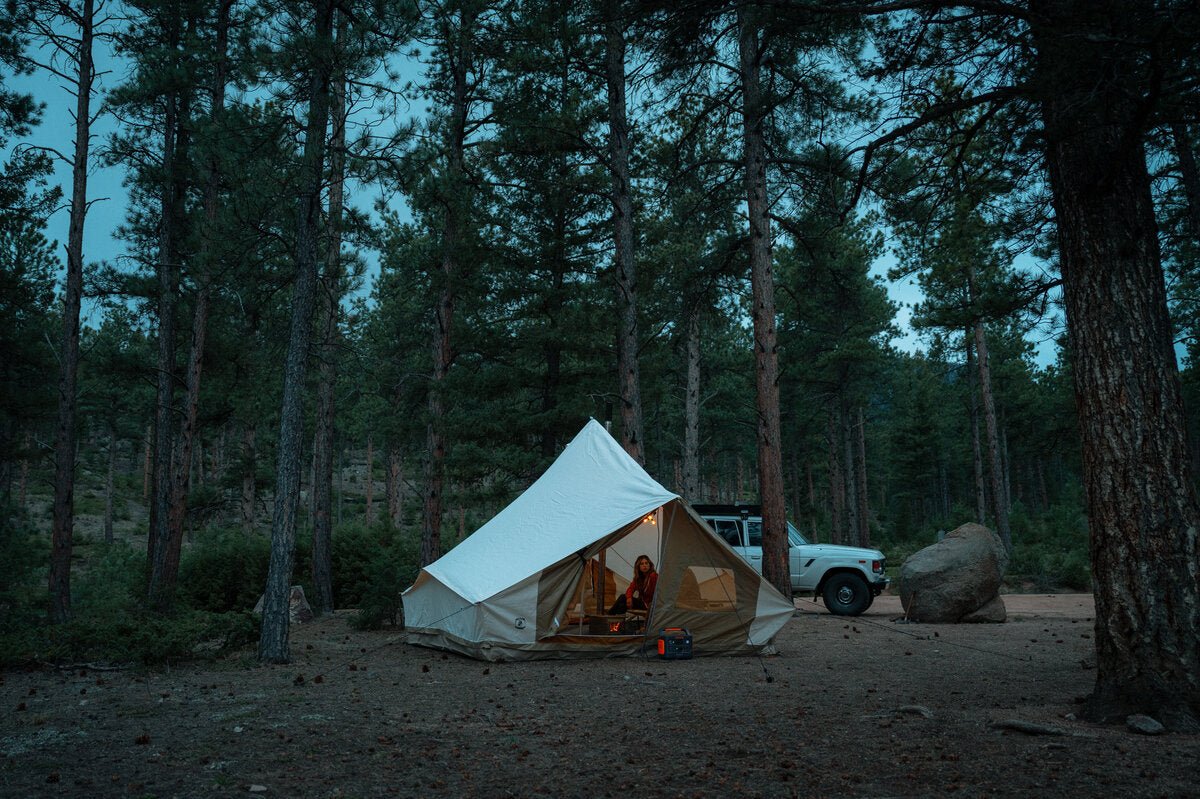 How to Live In The Woods [Complete Guide]