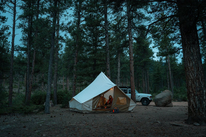 How to Live In The Woods [Complete Guide] - Jackery