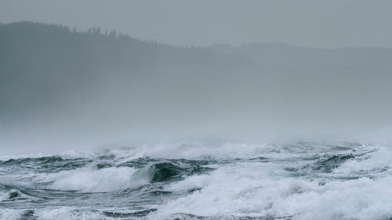 Hurricane Watch vs Warning: Understanding Hurricane Warning Flag - Jackery
