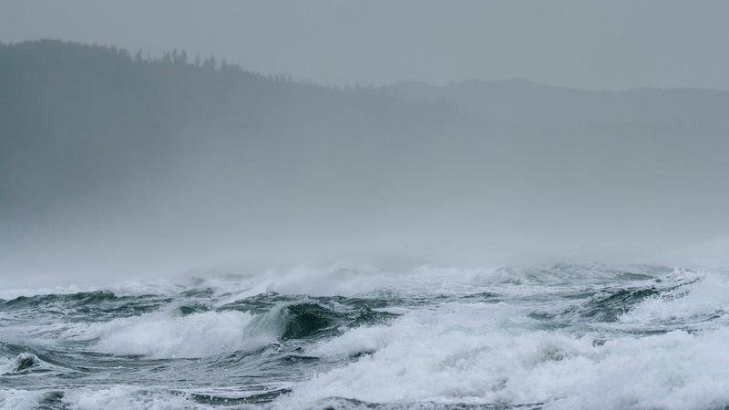 Hurricane Watch vs Warning: Understanding Hurricane Warning Flag - Jackery