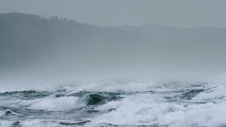 Hurricane Watch vs Warning: Understanding Hurricane Warning Flag - Jackery