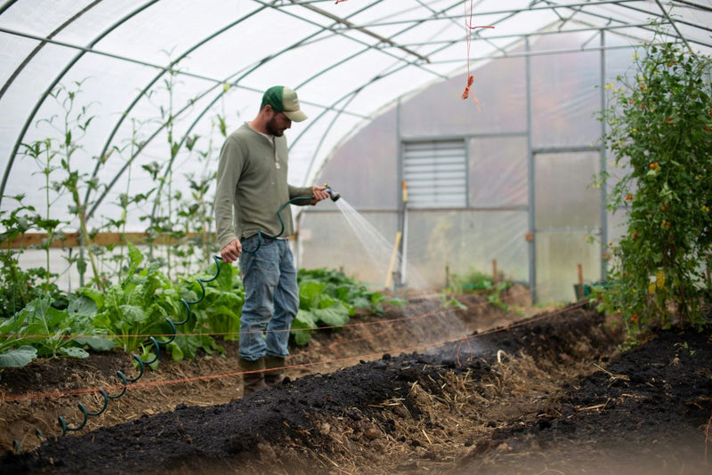 The Ultimate Guide to DIY Greenhouse - Jackery