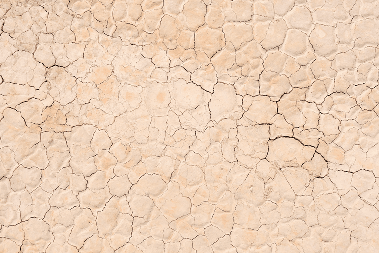 Ultimate Guide To California Heat Wave - Jackery