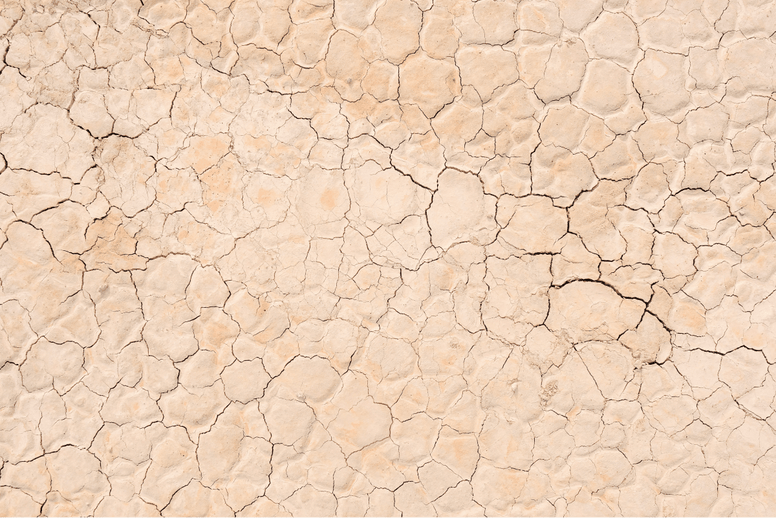 Ultimate Guide To California Heat Wave - Jackery