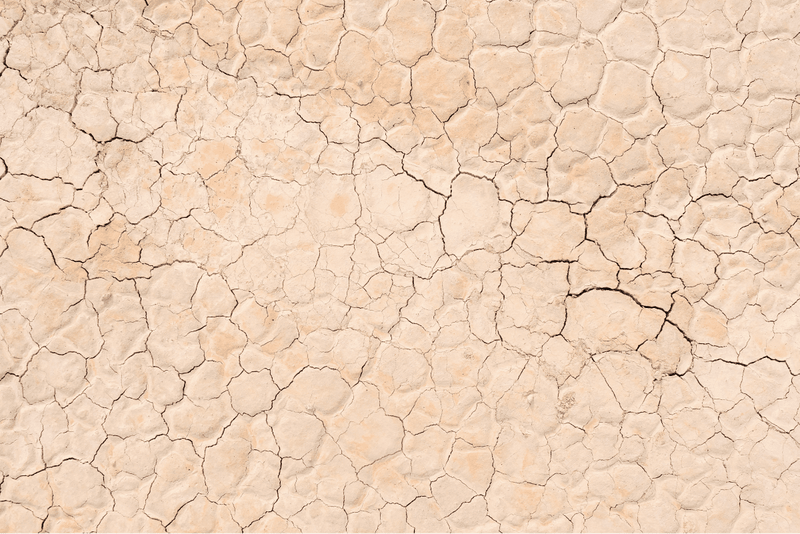 Ultimate Guide To California Heat Wave - Jackery