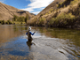 10 Fly Fishing Forums: Fishing Discussions & Reports