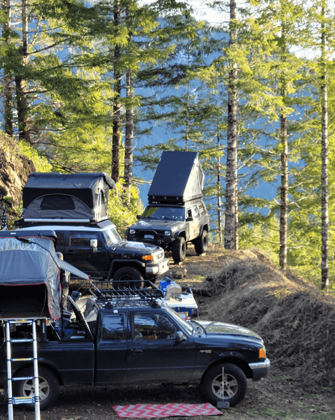 Camping in the Wilderness