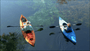 Exploring The Top 10 Florida State Parks With RV Camping