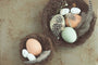 Fun Easter Games for Every Age Group of 2024